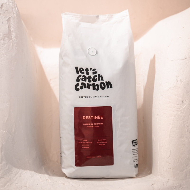 Café en Grain Destinée - Amerique Latine - 6 kg - ex Doña Rivera