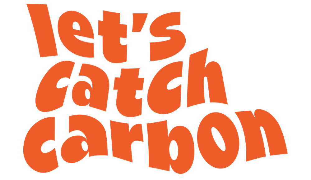 Let's Catch Carbon