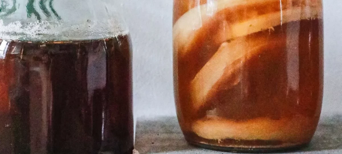 Bocaux de kombucha maison en fermentation avec la mère de kombucha visible, couverts d'un tissu