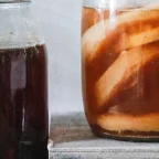 Bocaux de kombucha maison en fermentation avec la mère de kombucha visible, couverts d'un tissu