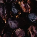 Cascara : cosses séchées de cerises de café, pulpe prête à infuser