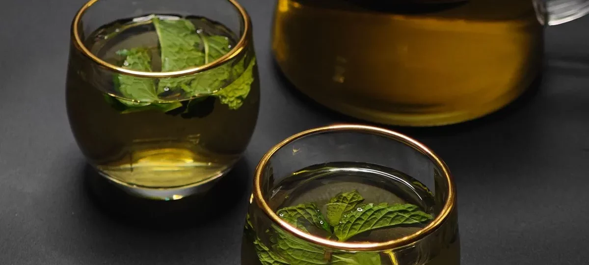 Deux verres d'infusion à la menthe fraîche et une théière en verre sur fond sombre