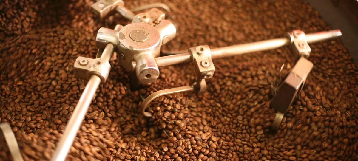 Grains de café brassés dans le bac de refroidissement d'un torréfacteur après la torréfaction