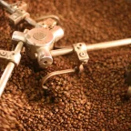 Grains de café brassés dans le bac de refroidissement d'un torréfacteur après la torréfaction