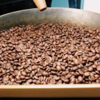 Grains de café torréfiés dans le bac de refroidissement d'un torréfacteur traditionnel
