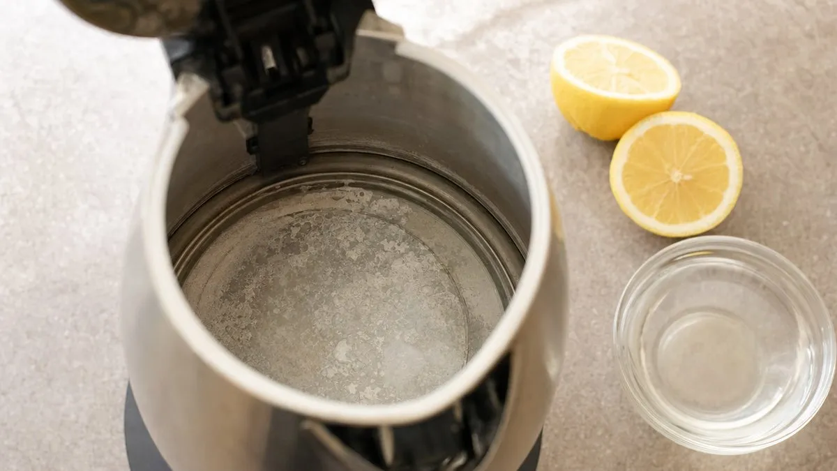Intérieur d'une bouilloire inox couvert de calcaire, à côté d'un citron coupé et d'un bol de vinaigre blanc