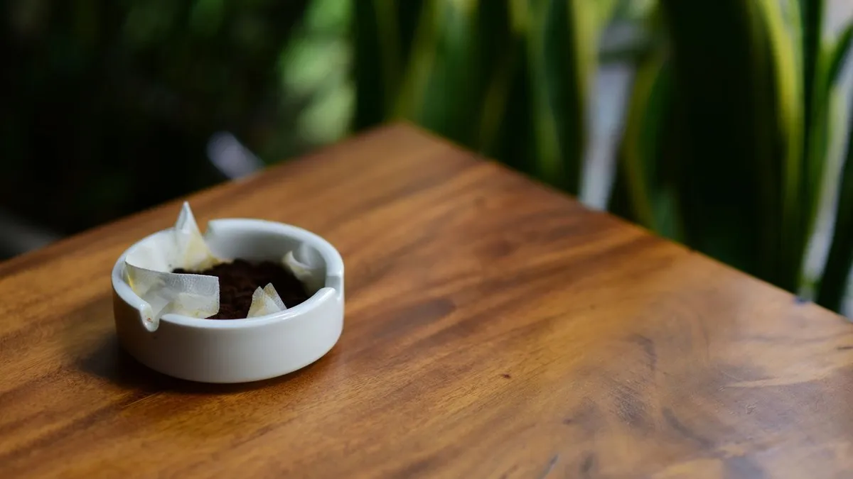 Marc de café usagé dans une petite coupelle blanche sur une table en bois, plantes vertes derrière