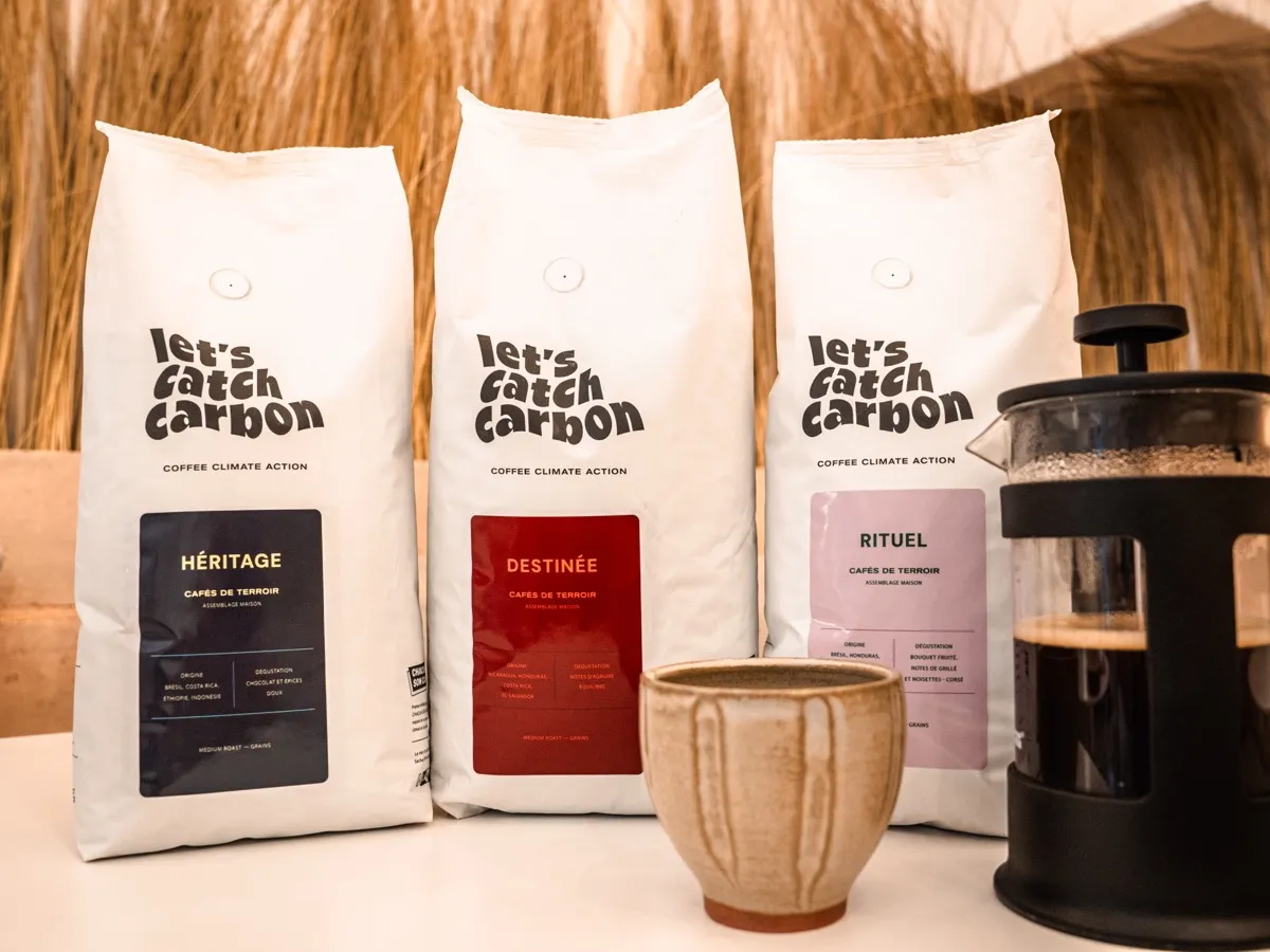 Sachets de café en grains de terroir à côté d'une cafetière à piston et d'une tasse en grès
