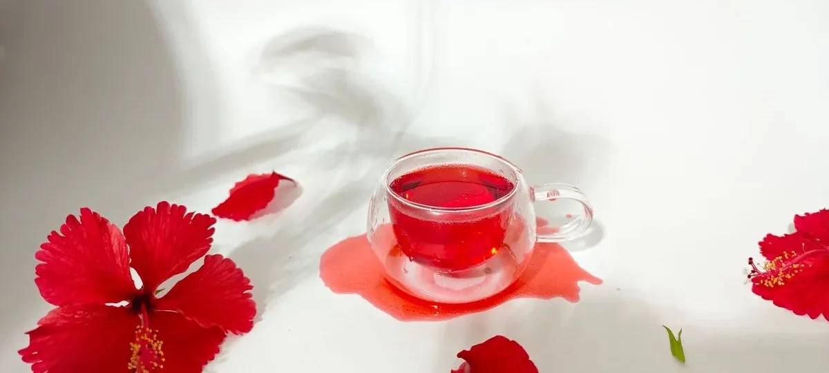Tasse en verre d'infusion d'hibiscus rouge entourée de fleurs d'hibiscus fraîches sur fond blanc