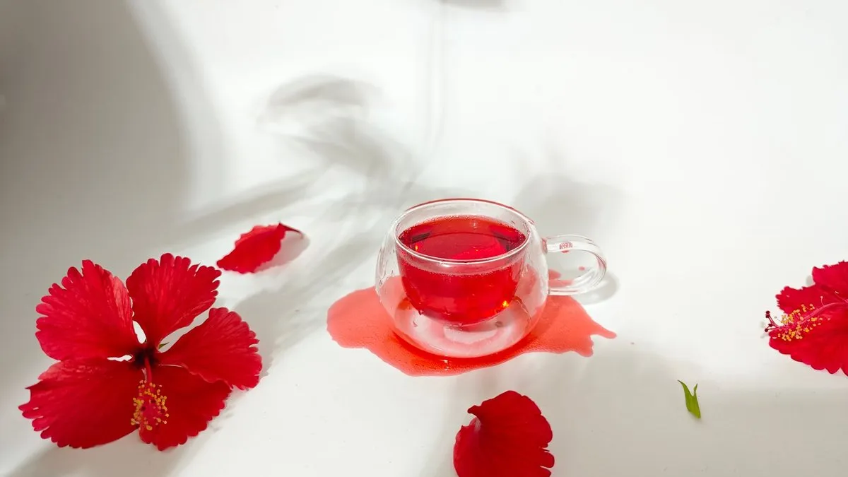Tasse en verre d'infusion d'hibiscus rouge entourée de fleurs d'hibiscus fraîches sur fond blanc